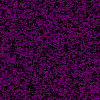 purple5.gif